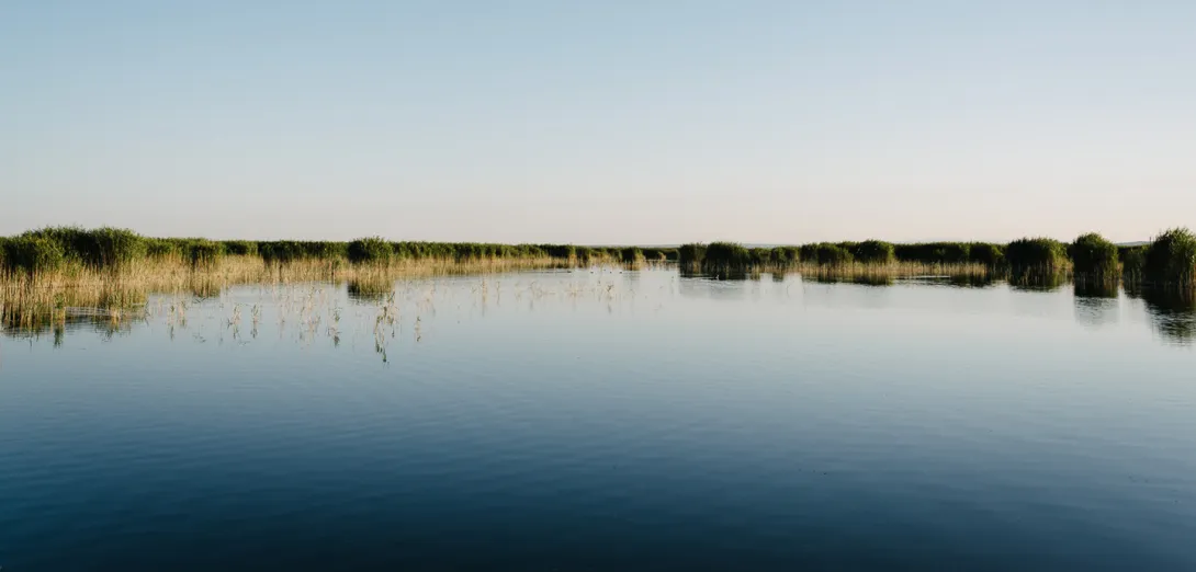 Neusiedler See