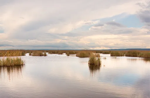 Neusiedler See im Herbst