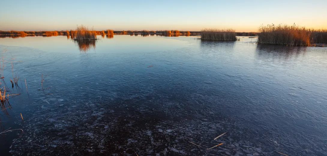Der See im Winter