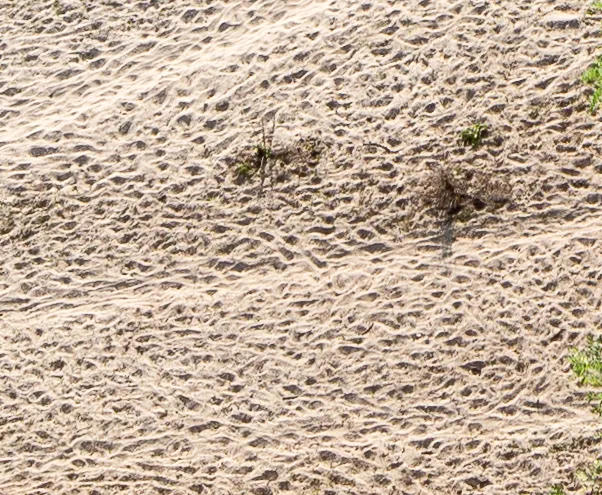 Sand