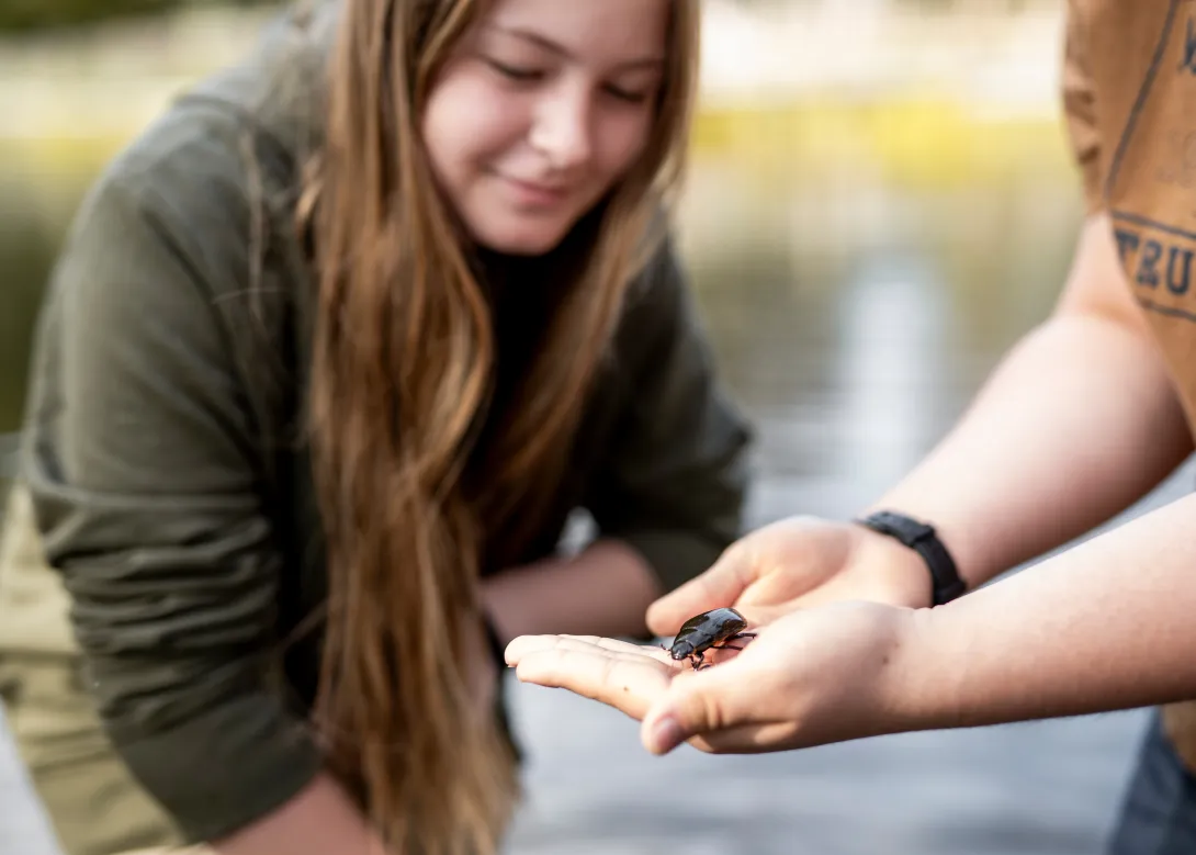 großer Käfer auf Kinderhand
