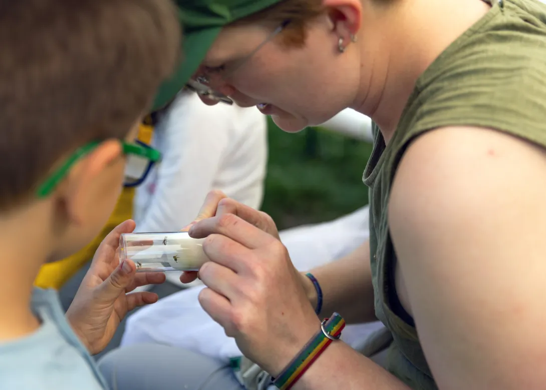 Kind und Ranger betrachten Insekten