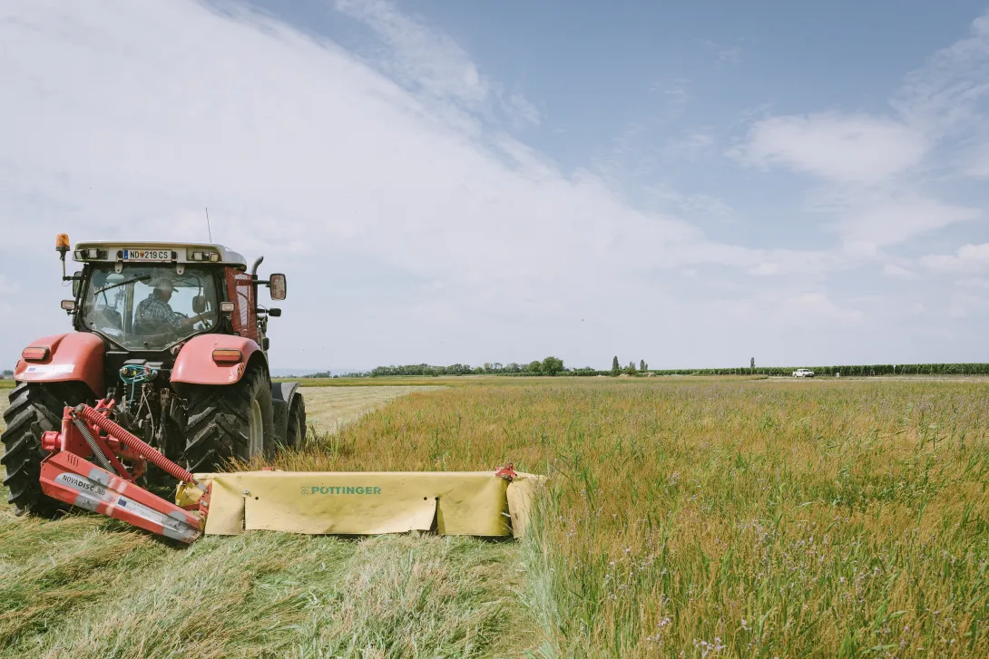 Wiesenmahd mit Traktor