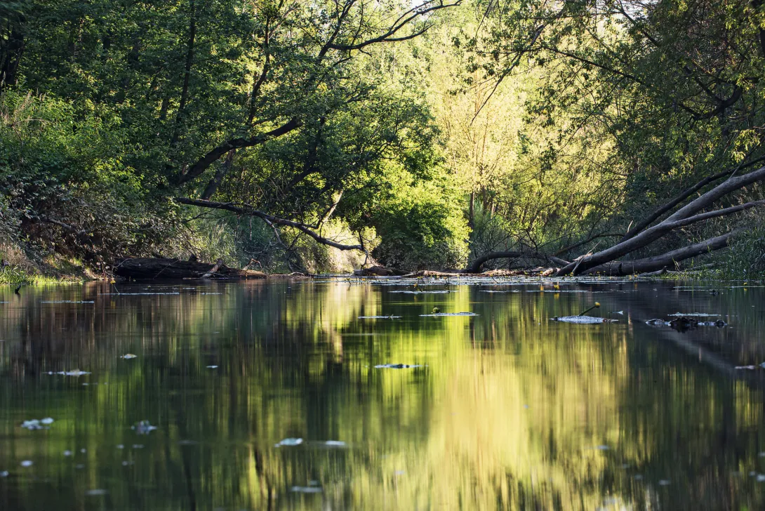Gewässer Seitenarm NPA´s